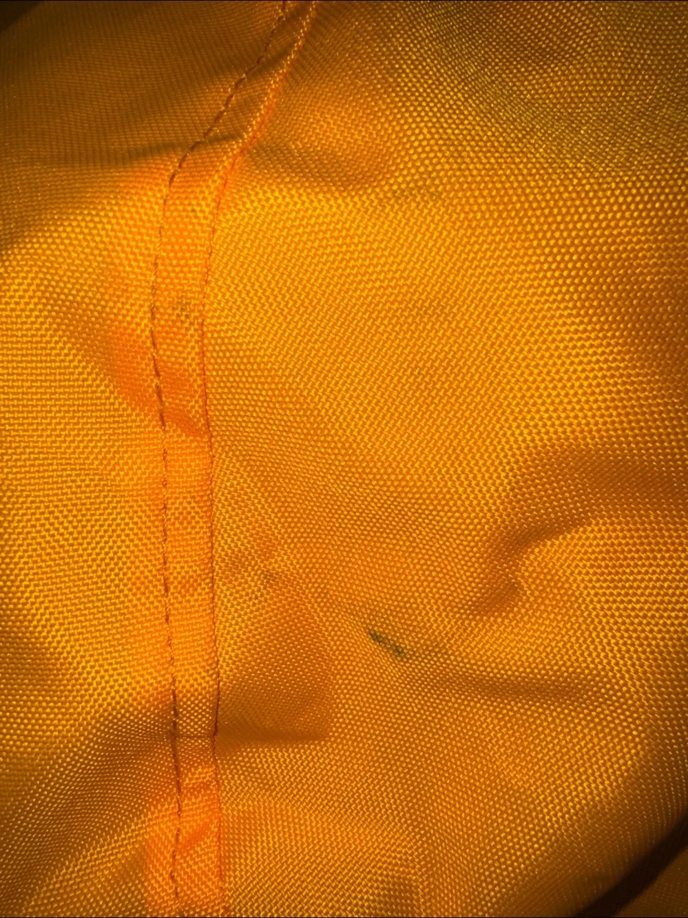 Burley ‘BEE’ nwt!